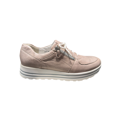 Waldläufer  | Bronx Apricot