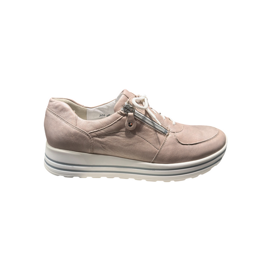 Waldläufer  | Bronx Apricot