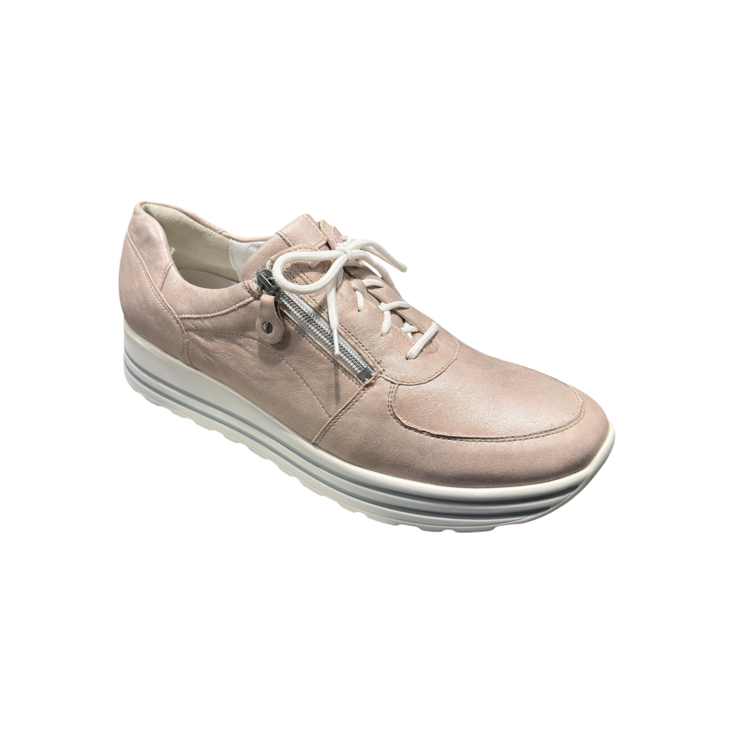 Waldläufer  | Bronx Apricot