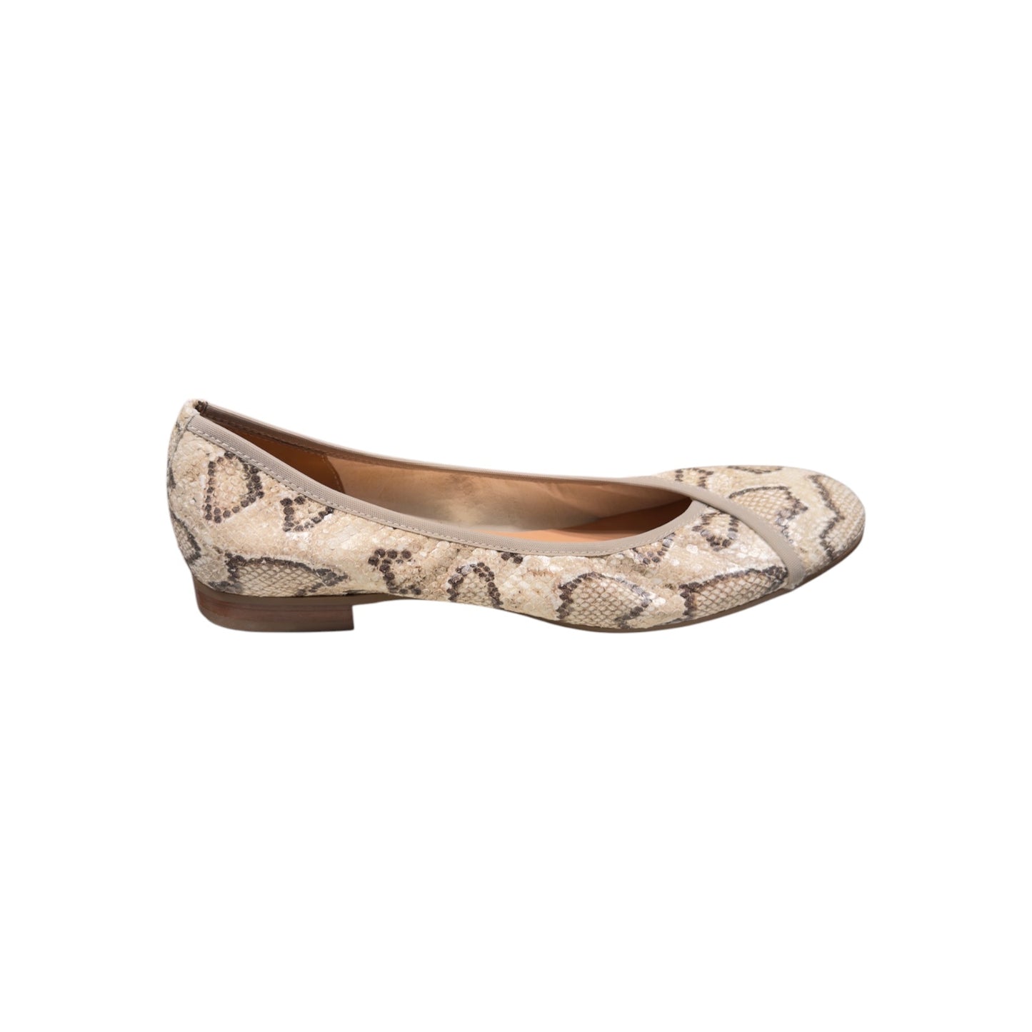Donna Carolina | Ballerina Pitty Noce