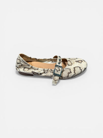 Donna Carolina | Clara Lift Pitty Noce