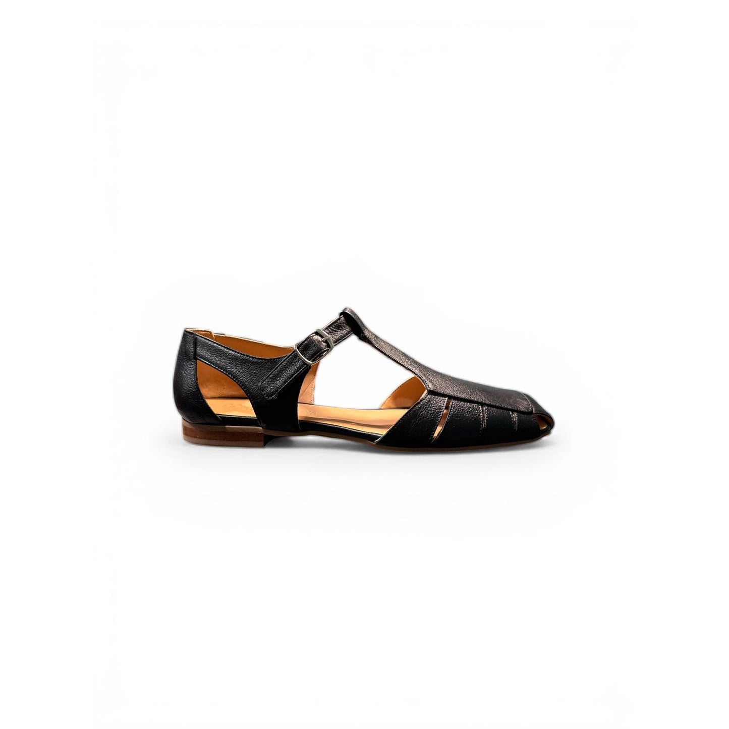Donna Carolina | Fenix Web blue